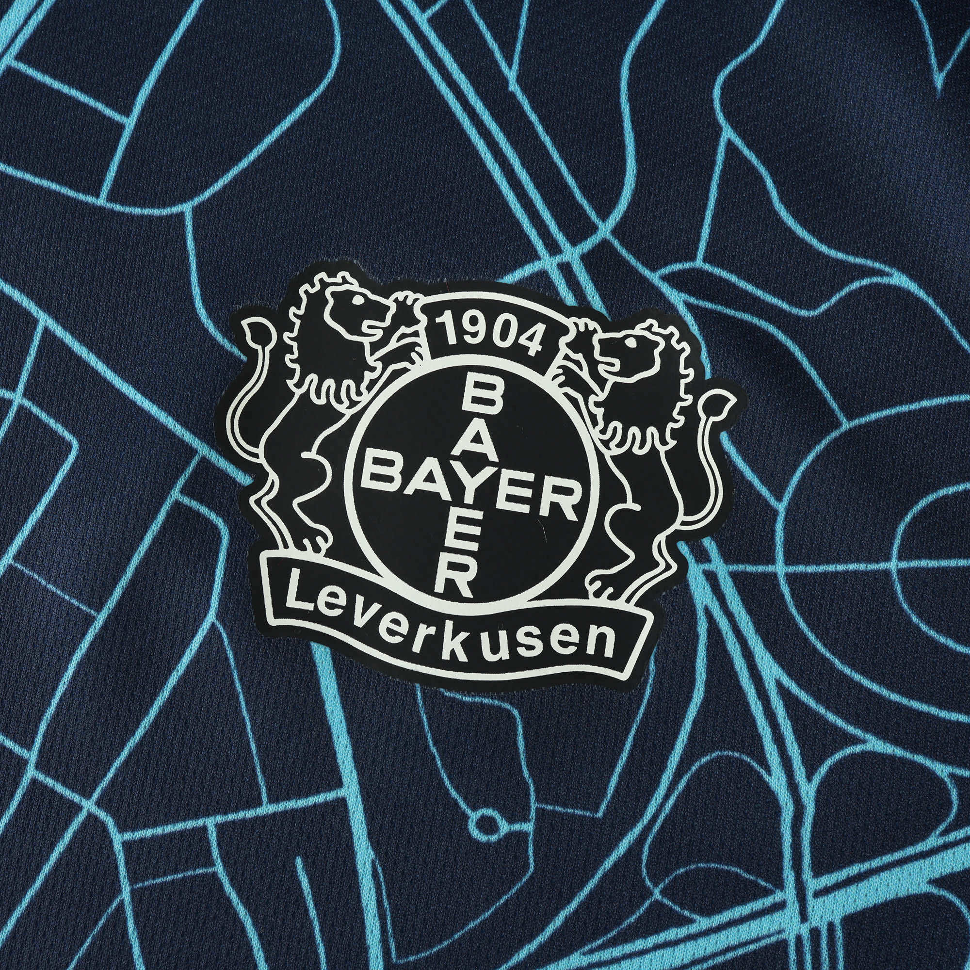 Bayer 04 Leverkusen 24/25